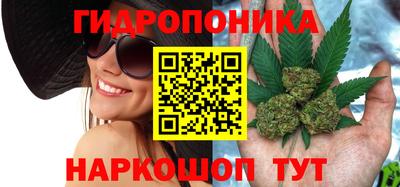 apvp Татарск