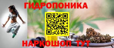 СК Тверь