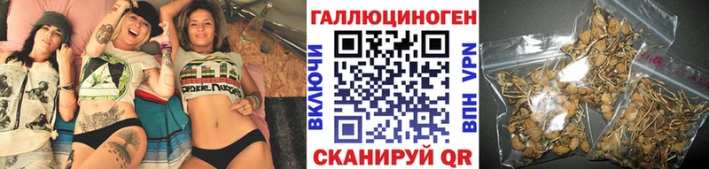 дарнет шоп маркетплейс как зайти Галлюциногенные грибы ЛСД Черкесск
