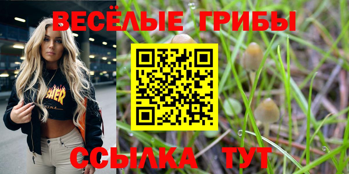 Черкесск  Галлюциногенные грибы Magic Shrooms  Вход с VPN  Псилоцибиновые грибы Psilocybe 