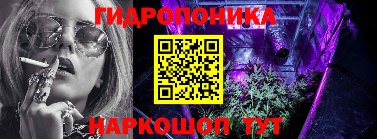 Канабис OG Kush Черкесск